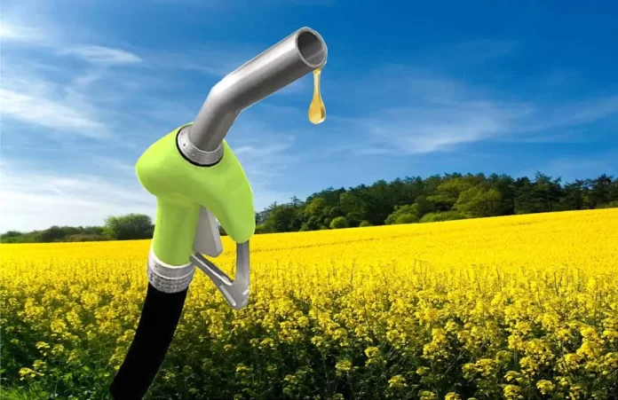 Más biodiesel en el gasoil